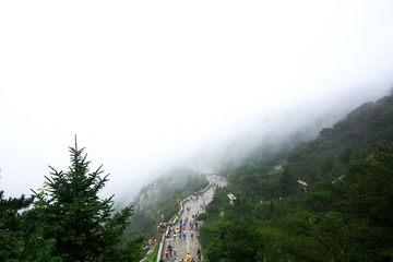 雾中泰山