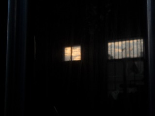 1000020319