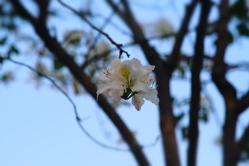 2EA501E5-52D2-45AE-848B-522F082B29F3/L0/001