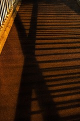 1000146217