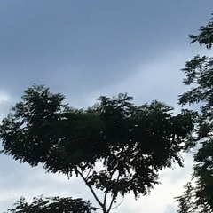 E0EBA72D-C0E4-42CB-8946-6D32C084CB5C/L0/001