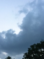 F9F5FA9F-DA92-4BCC-9B00-C8D1AE111CA0/L0/001
