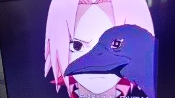 62585