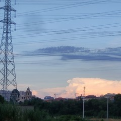 1000074127