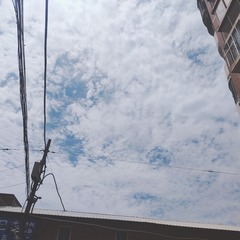 1000073831
