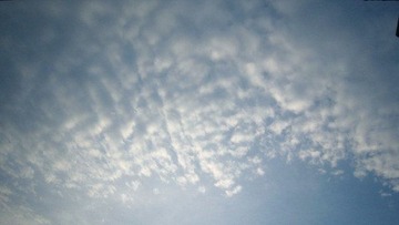 IMG_0704_副本.jpg