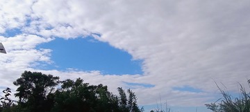 278748