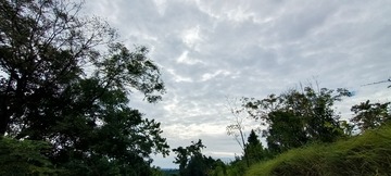 278682