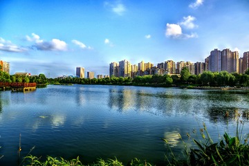 IMGP3522_