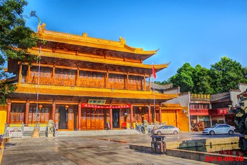 IMGP3010_