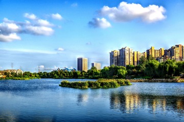 IMGP3516_