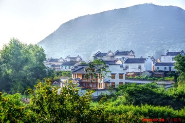 IMGP2558_