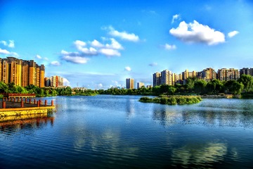 IMGP3514_