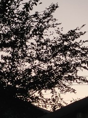 1000031535
