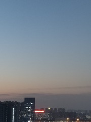 1000031565