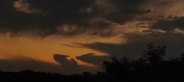 1000057314