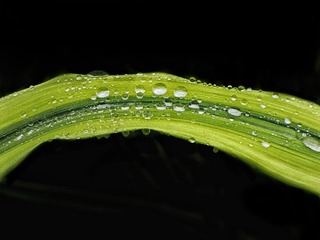 2303768