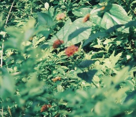 4EE5DC5F-83A6-4320-994F-8366DDAF0DB5/L0/001