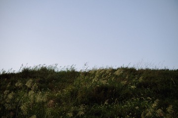 1E5EF0DF-B258-4363-8BF5-39F47F1367DD/L0/001