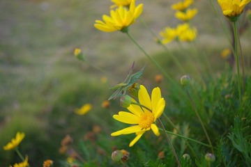 IMGP1357.JPG