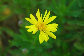 IMGP1342.JPG