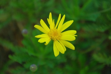 IMGP1344.JPG