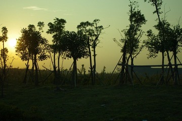 IMGP1345.JPG