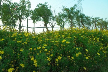 IMGP1353.JPG