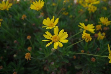 IMGP1354.JPG
