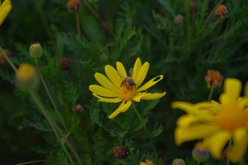 IMGP1356.JPG