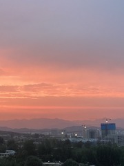 542418AA-5AC9-4A07-A2C1-36F9AE03C7A7/L0/001