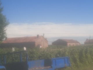1731011