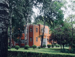 FACEDA16-B45D-4CC6-9E6C-6C9D8FFA4DA8/L0/001