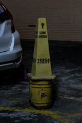 1000073245