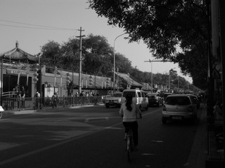 IMG_2076.JPG