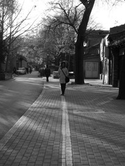 IMG_2568.JPG
