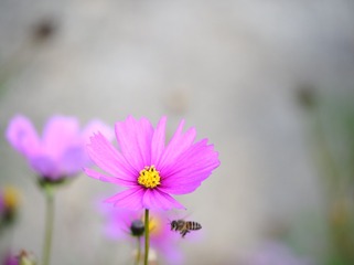 97734