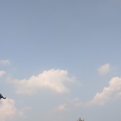 1402885