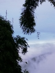 1734806