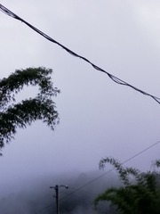 1734807