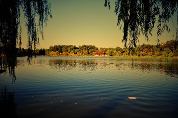 DSC_0433.JPG