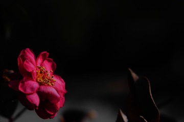 20140222-20140222-_DSC3568
