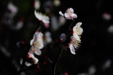 20140222-20140222-_DSC3572