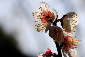 20140222-20140222-_DSC3573