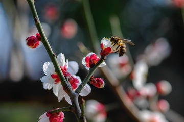 20140222-20140222-_DSC3579