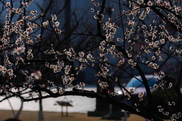 20140222-20140222-_DSC3584