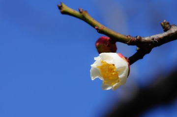 20140222-20140222-_DSC3590