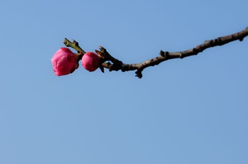 20140222-20140222-_DSC3593