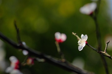 20140222-20140222-_DSC3599