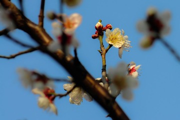 20140222-20140222-_DSC3603